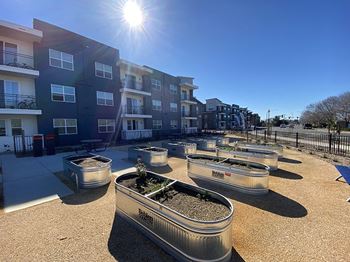 Community Garden at 38 North | Santa Rosa Apartments